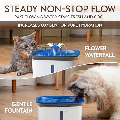 Pet Water Fountain Vivid Blue Mini 67oz Plastic