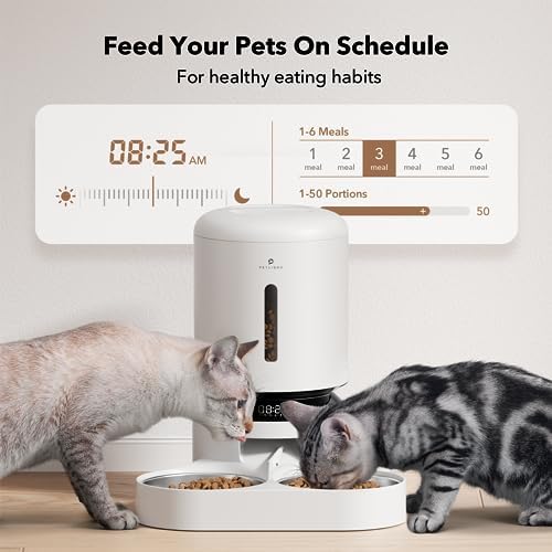 Automatic Cat Feeder White Regular