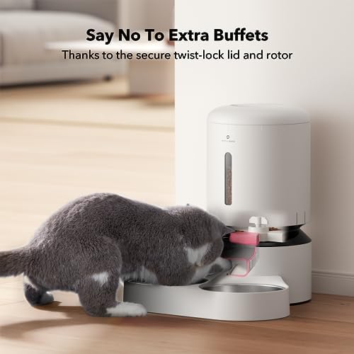 Automatic Cat Feeder White Regular