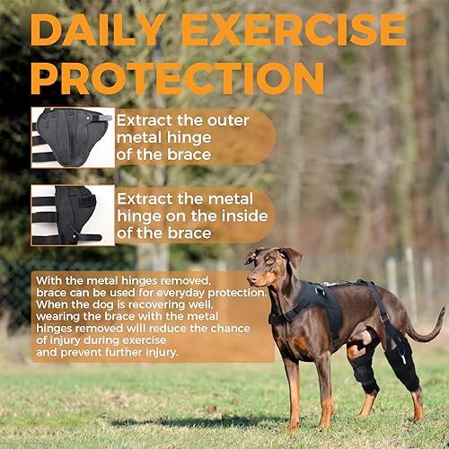 Dog ACL Knee Brace Medium Red Ribbon