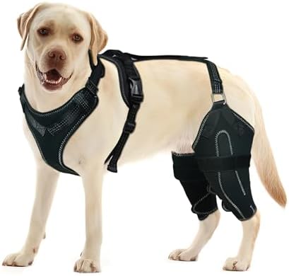 Dog ACL Knee Brace Medium Red Ribbon