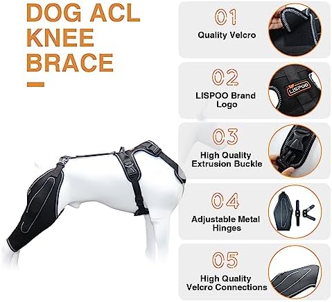 Dog ACL Knee Brace Medium Red Ribbon