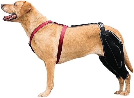 Dog ACL Knee Brace Medium Red Ribbon