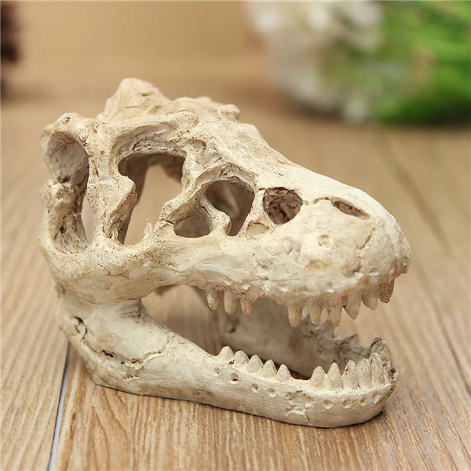 Aquarium Dinosaur Skull Medium