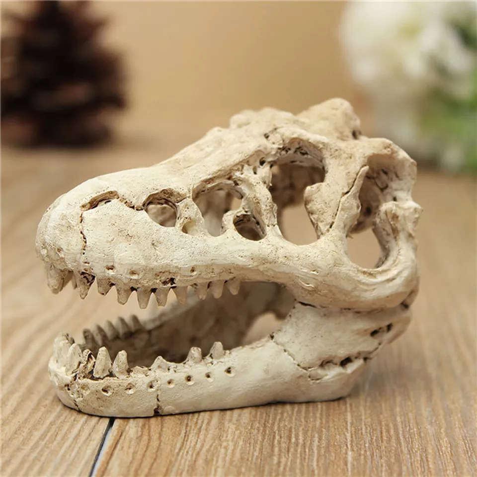 Aquarium Dinosaur Skull Medium