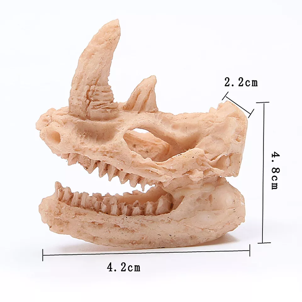 Aquarium Dinosaur Skull Medium